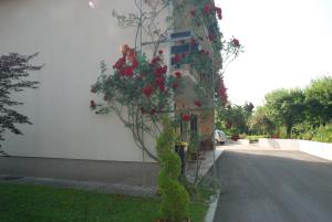 Hrašče 151 (1)